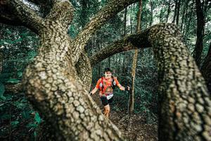 BIB: 
                            <button type="button" onclick="openModal(25394331)" class="btn btn-primary btn-sm float-right btn-popup" data-toggle="modal" data-target=".modal-high-quality">
                        <i class="fas fa-shopping-cart"></i> Add to Cart
                    </button>
                                            <button type="button" onclick="isThisMe(25394331, true)" class="btn btn-success btn-sm float-right btn-popup btn-isme hidden" data-toggle="tooltip" data-placement="bottom" title="นี่คือรูปของคุณใช่ไหม คลิกที่นี่เพื่อเอาเข้าอัลบั้ม">
                        <i class="fas fa-plus"></i> Add to album
                    </button>
                    <button type="button" onclick="isThisMe(25394331, false)" class="btn btn-warning btn-sm float-right btn-popup btn-isnotme hidden">
                        <i class="fas fa-ban"></i> Remove from album
                    </button>